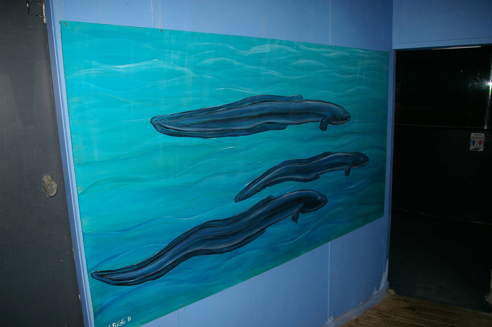 eel painting leading into the aquarium