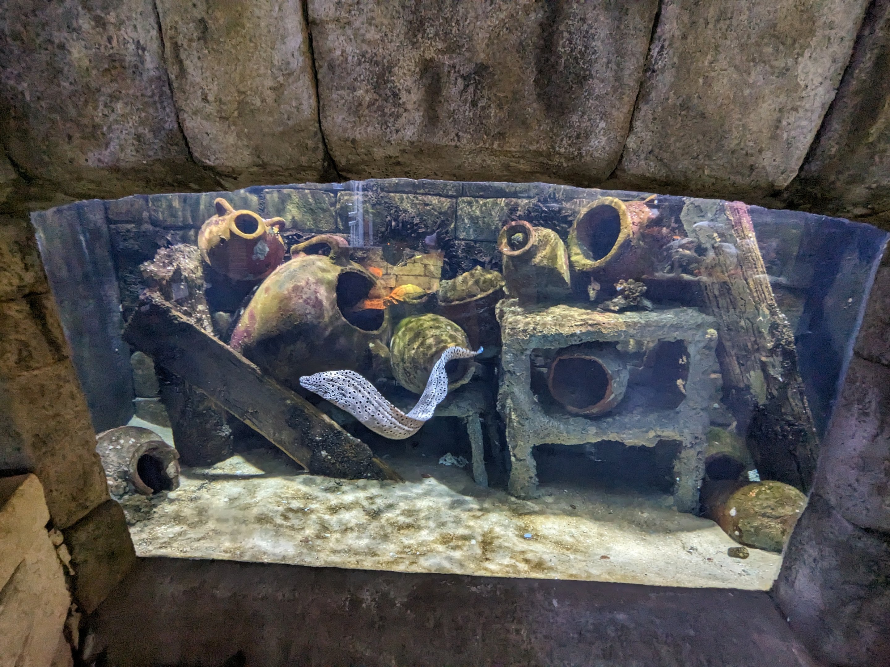 Eel tank