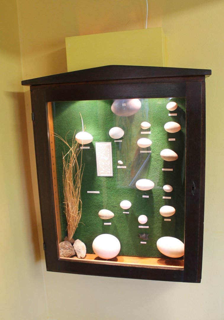 Egg display