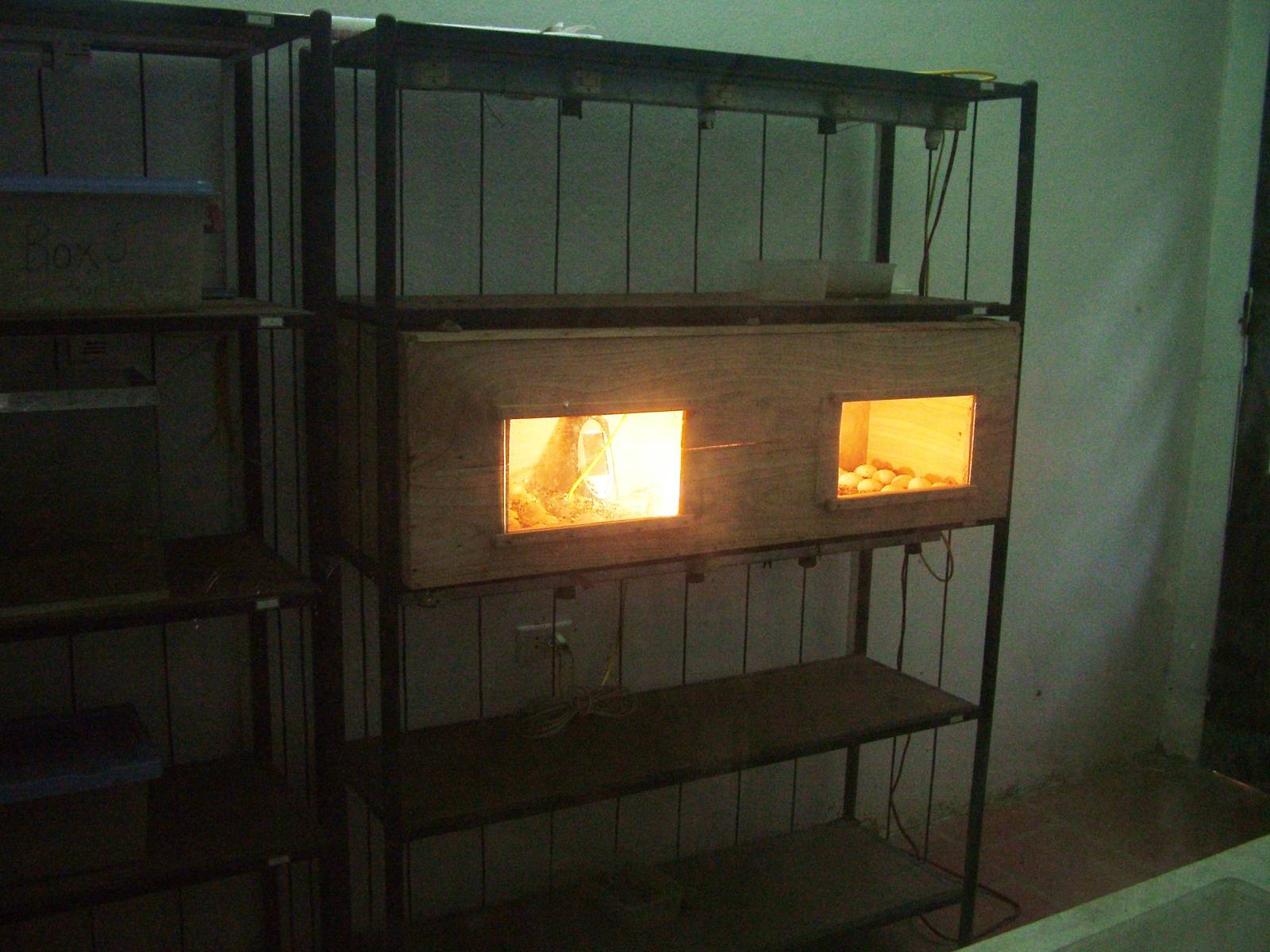 Egg Incubators at the Turtle Centre, Cuc Phuong, 10/03/12