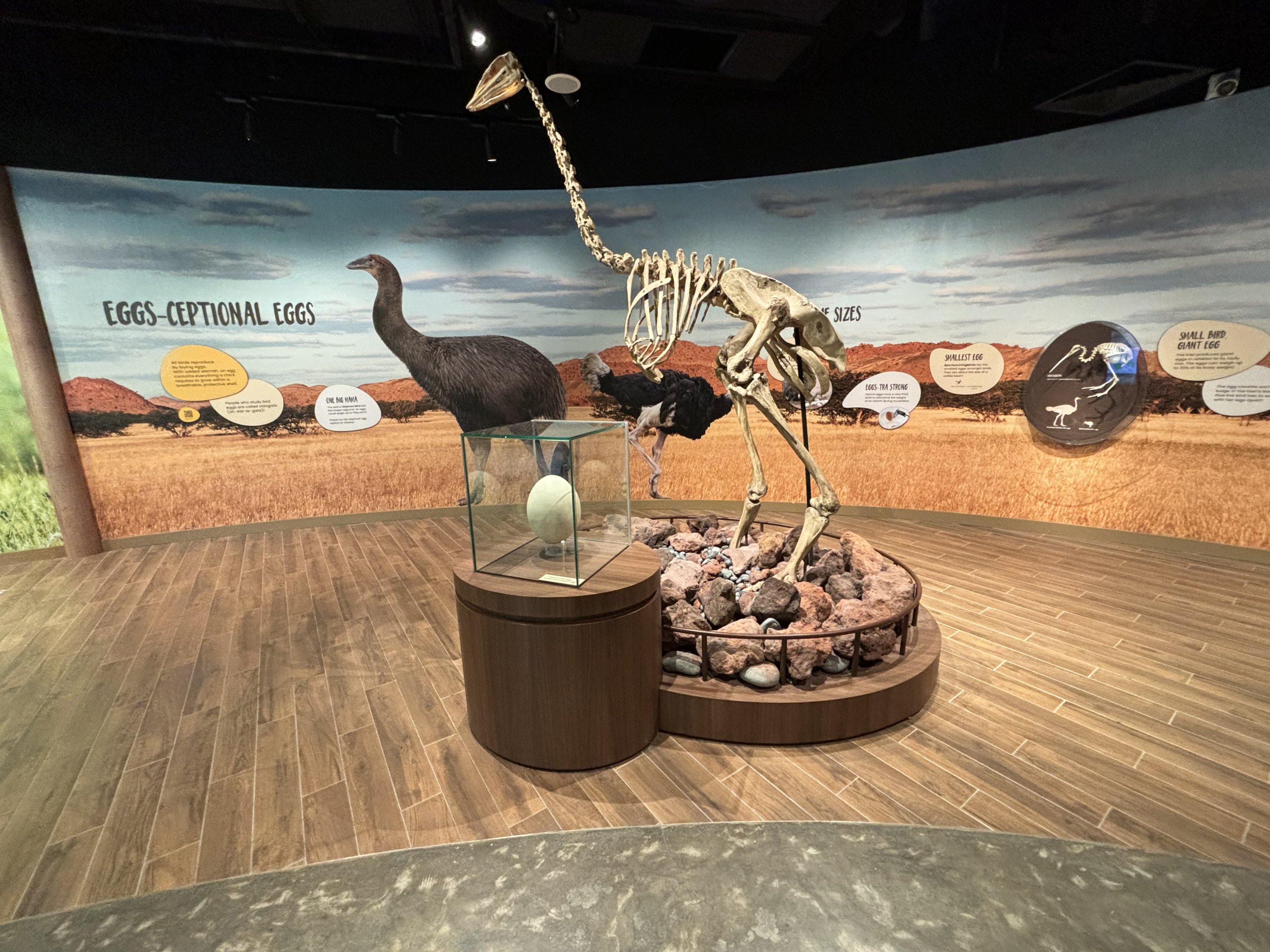 Egg room - air-conditioned paradise!