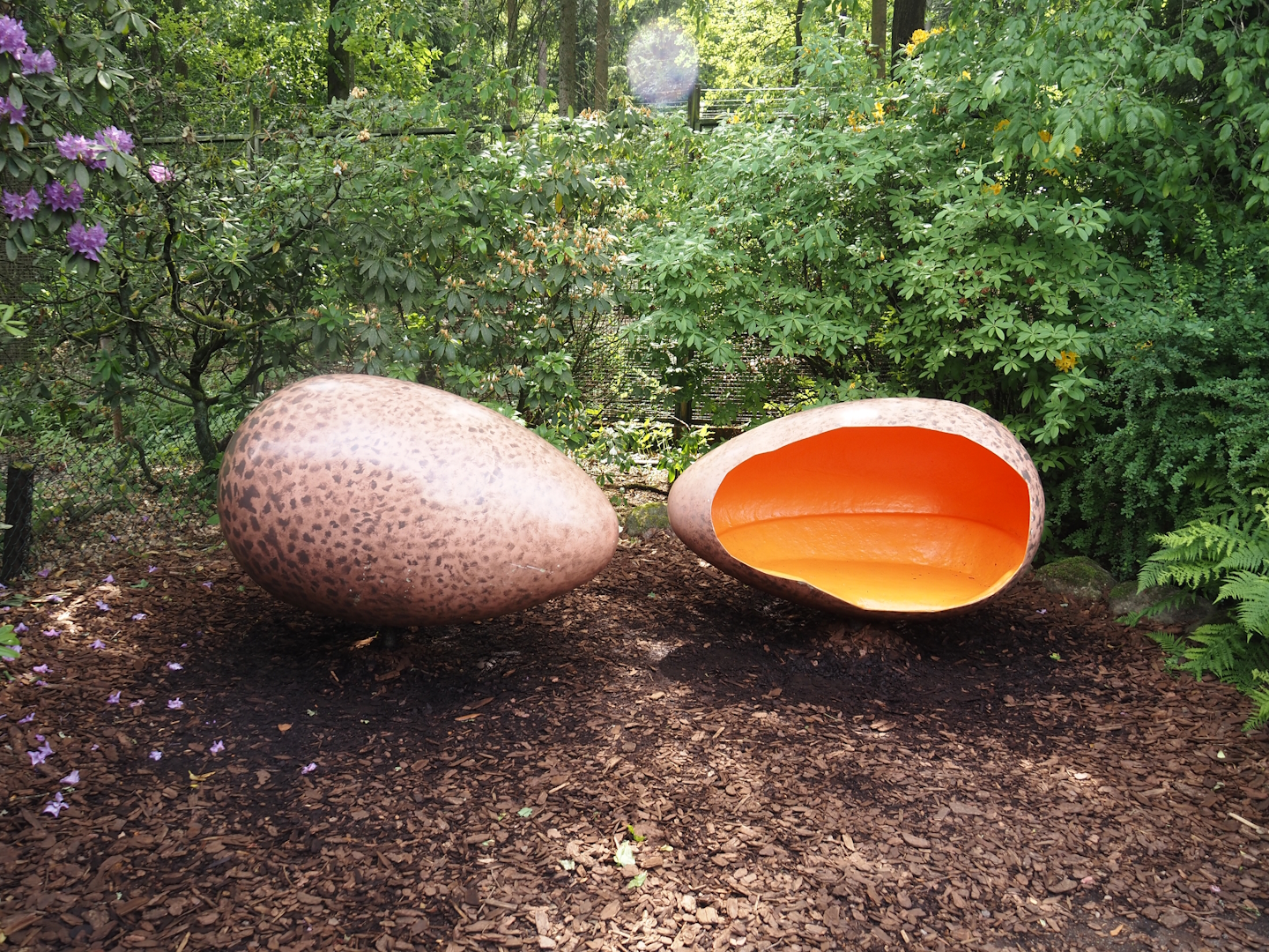 Egg seats, 2024-05-21