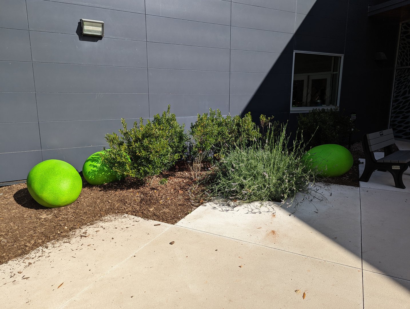 Eggs at base of Cassowary Statue