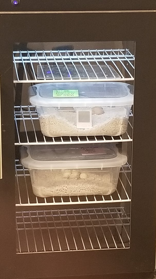 Eggs, too far to read labels