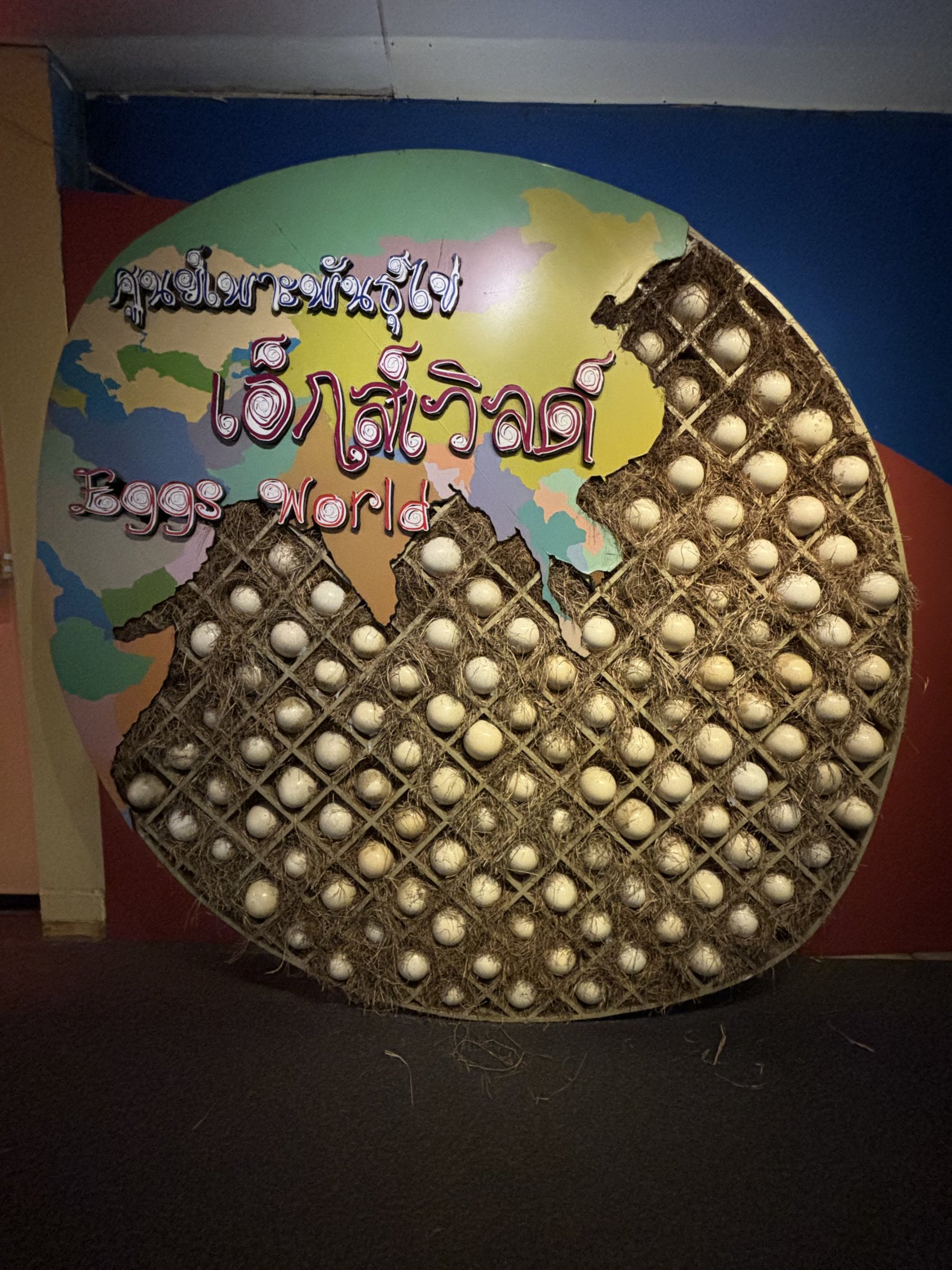 Eggs World - entrance display