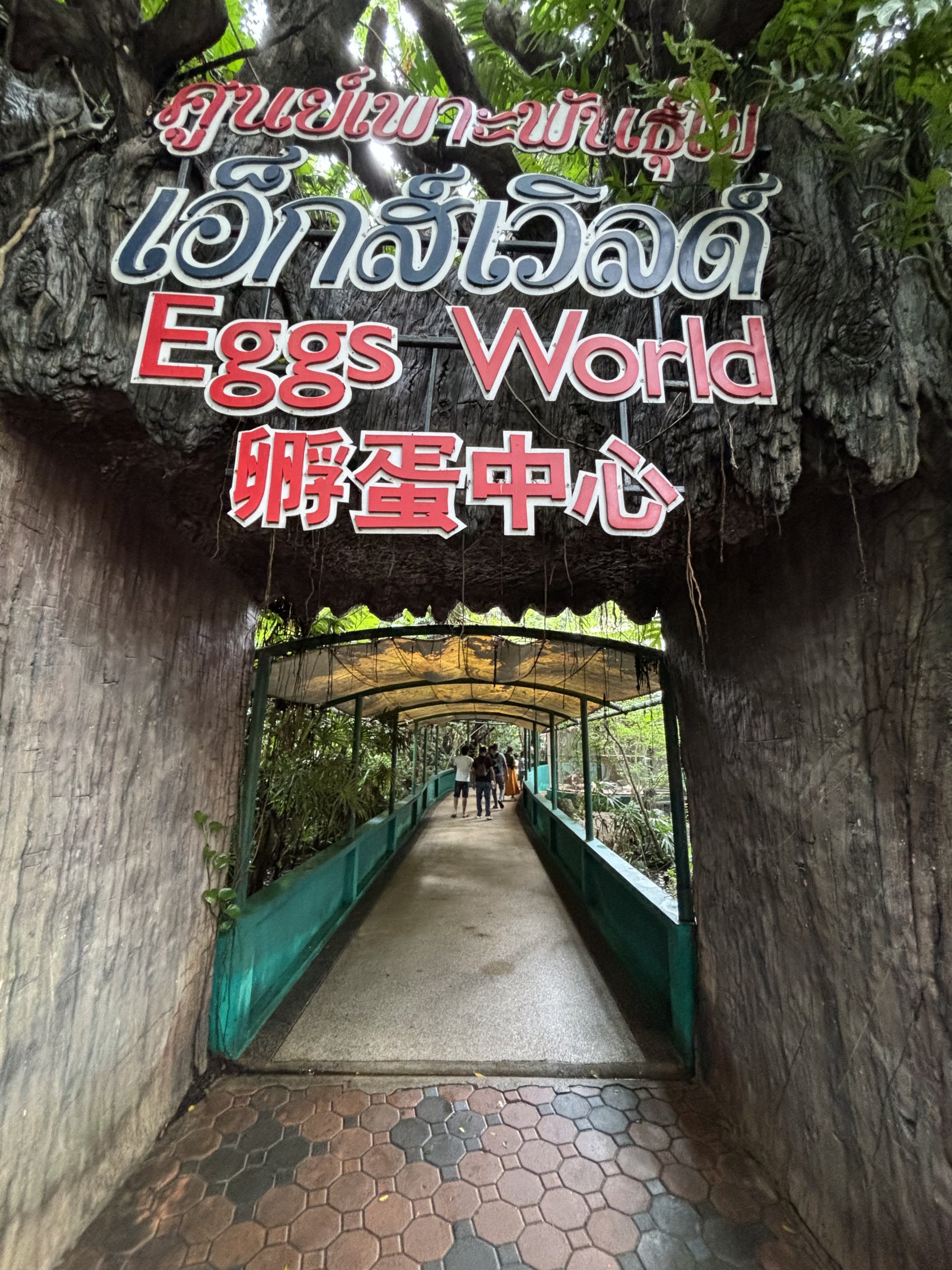 Eggs World - entrance