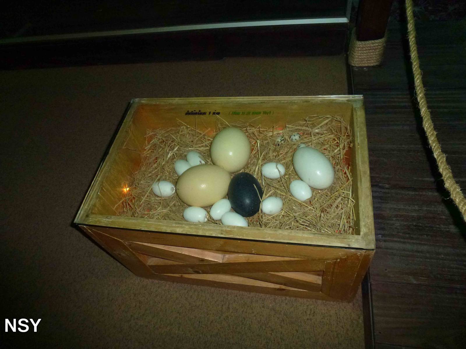 Eggs world - inventive stool, June 2013.