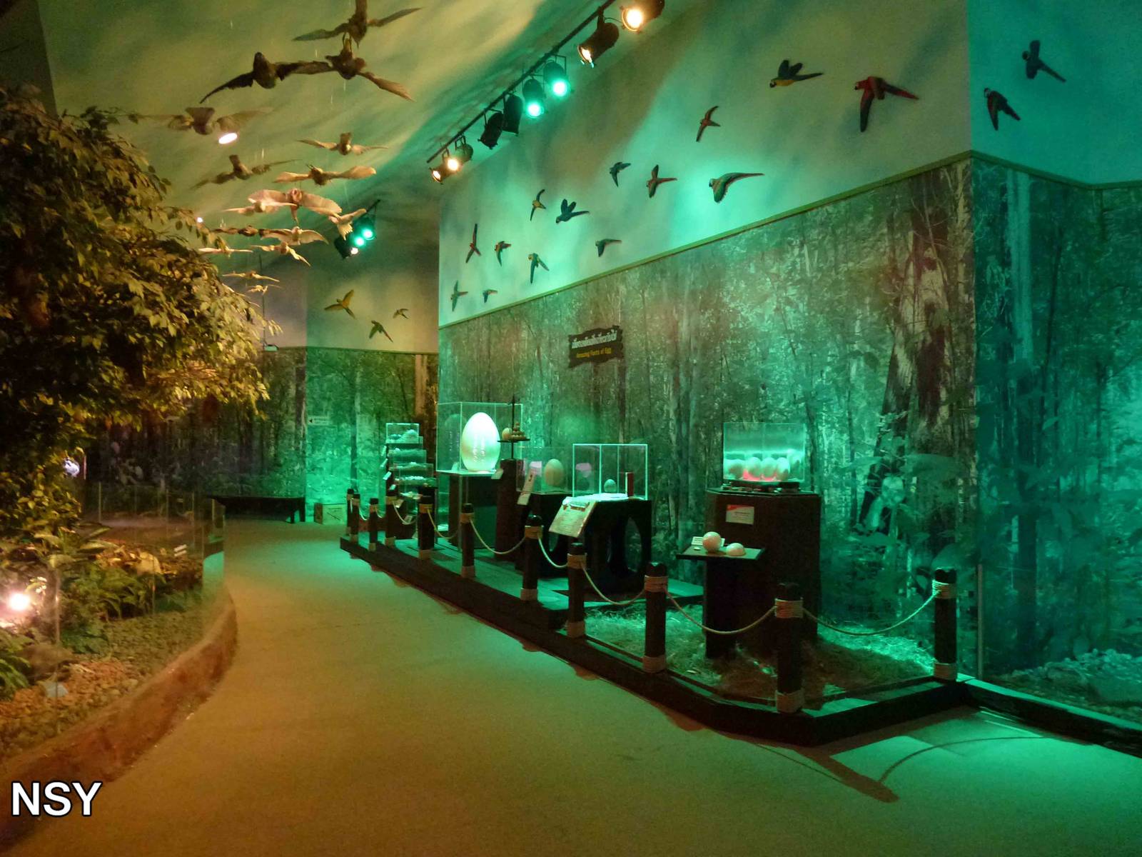 Eggs world, June 2013.