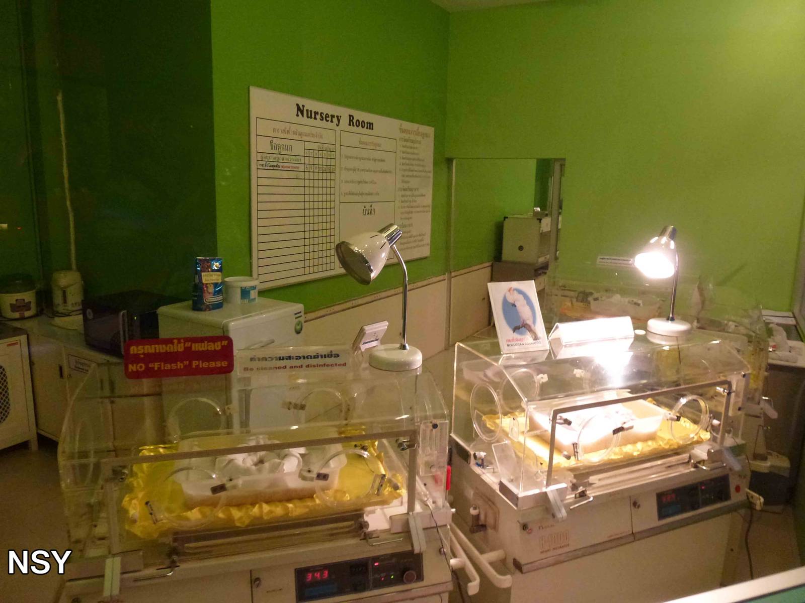 Eggs world - nursery, June 2013.