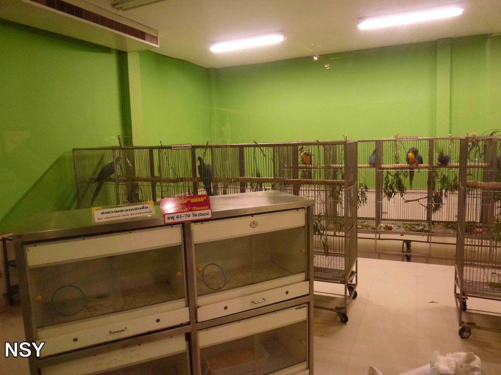 Eggs world - Nursery, June 2013.