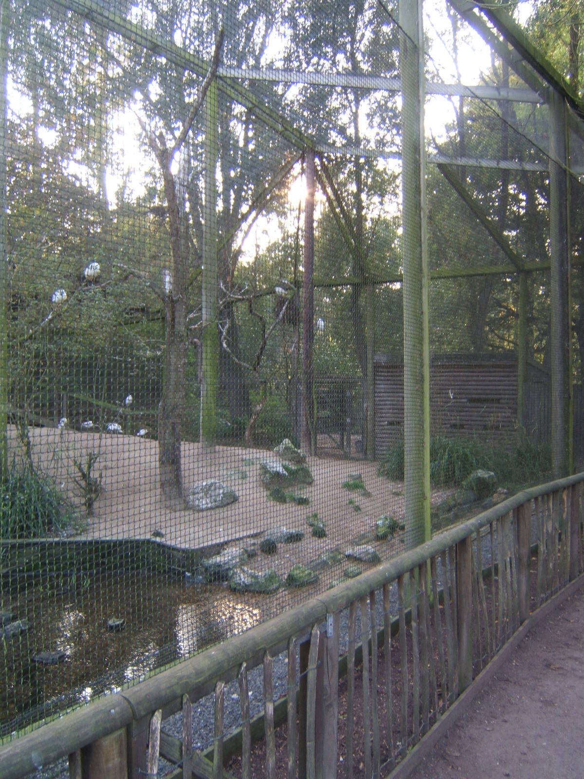 Egret and Wader Aviary