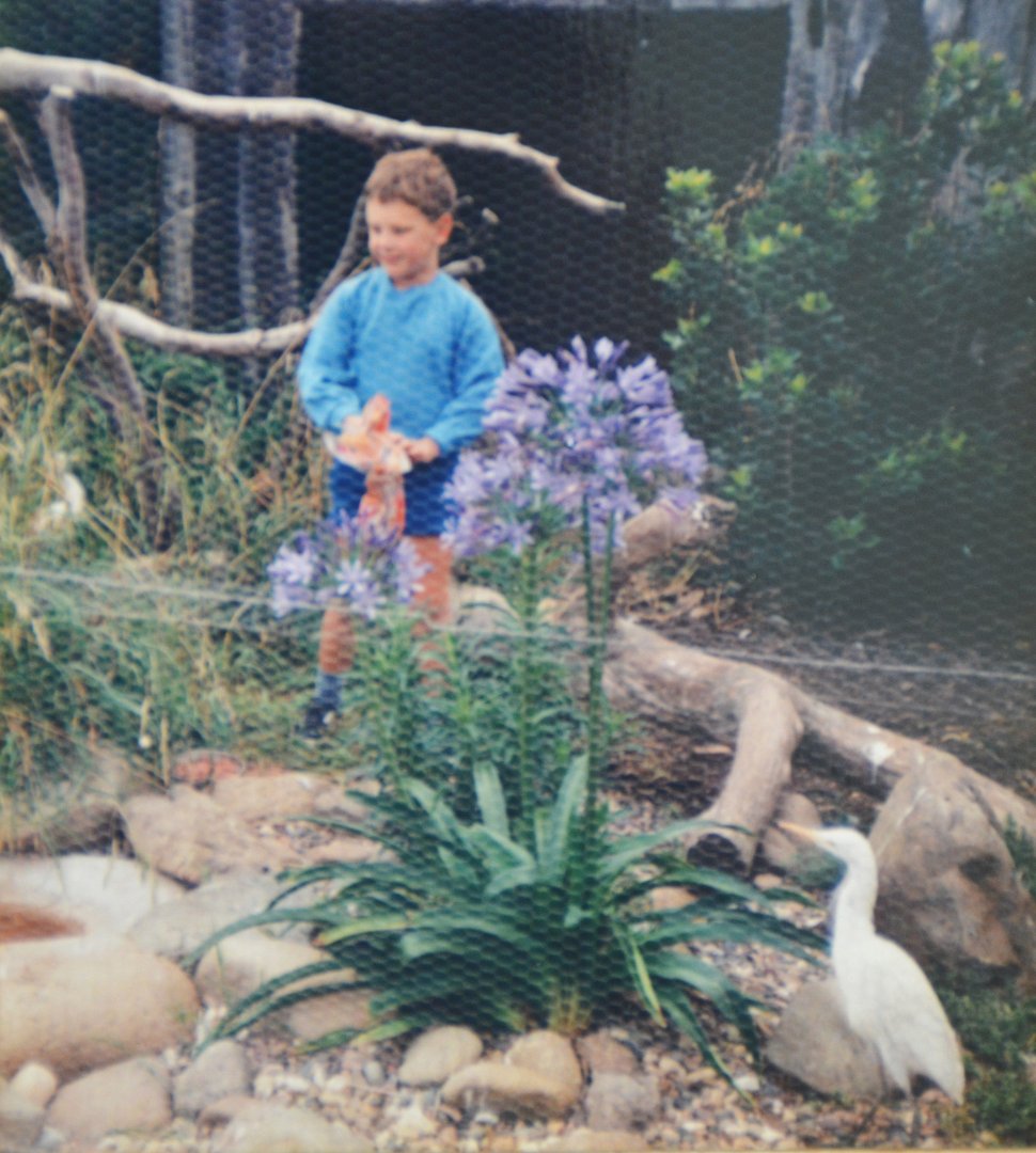 Egret aviary  Mugga Lane zoo