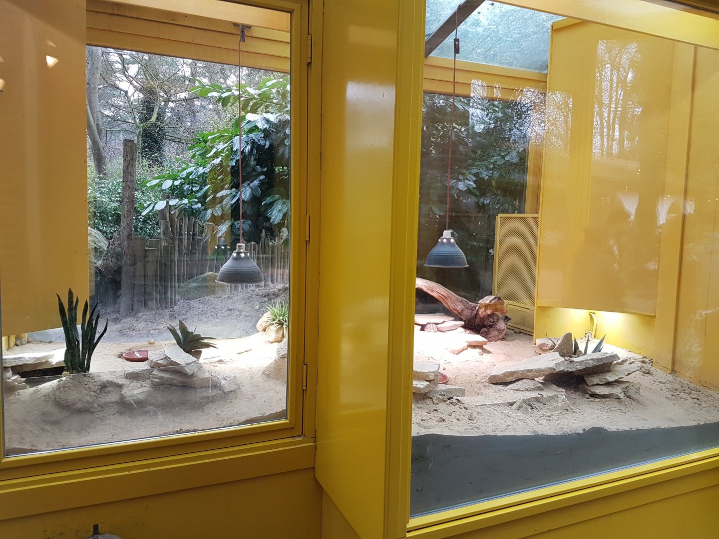 Eguptian tortoise enclosure