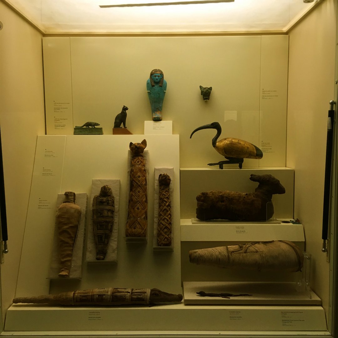 Egypt: Animal Mummies