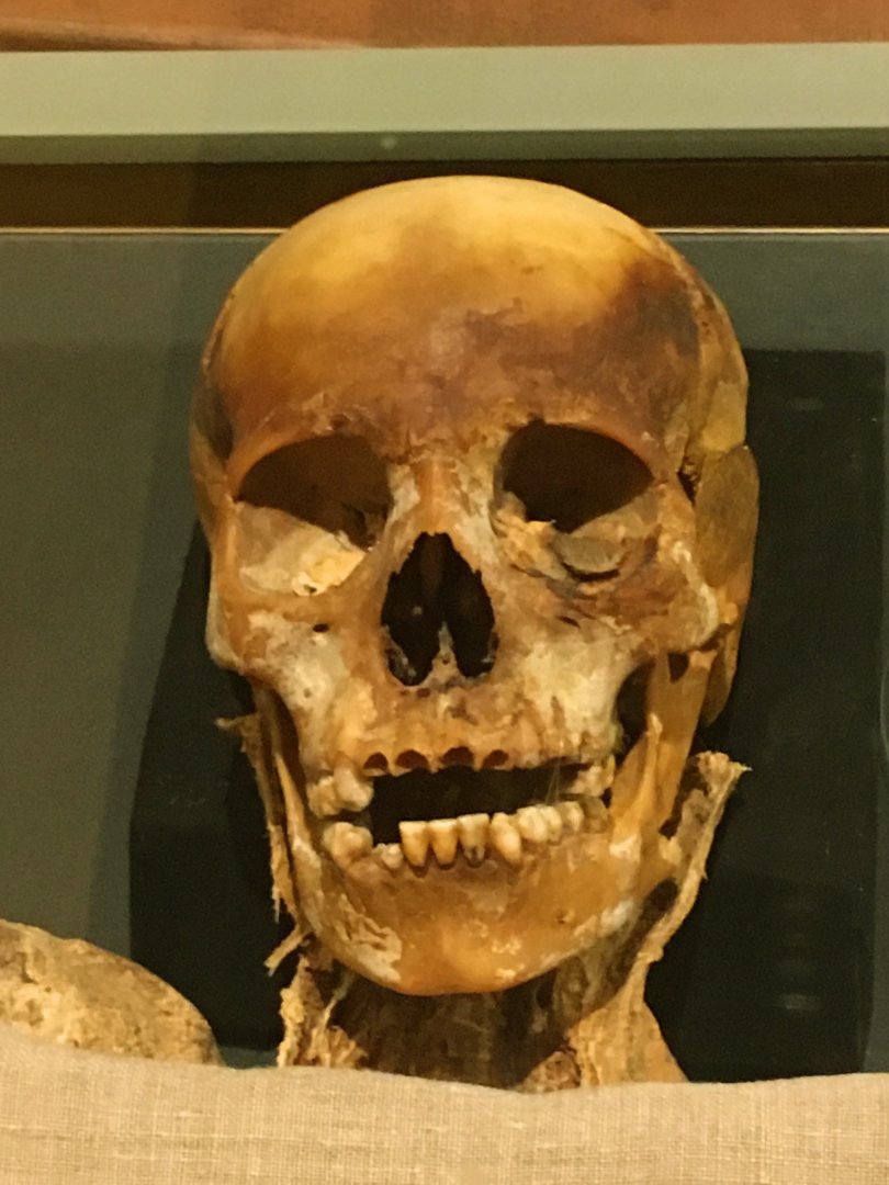 Egypt: Head of Nakht