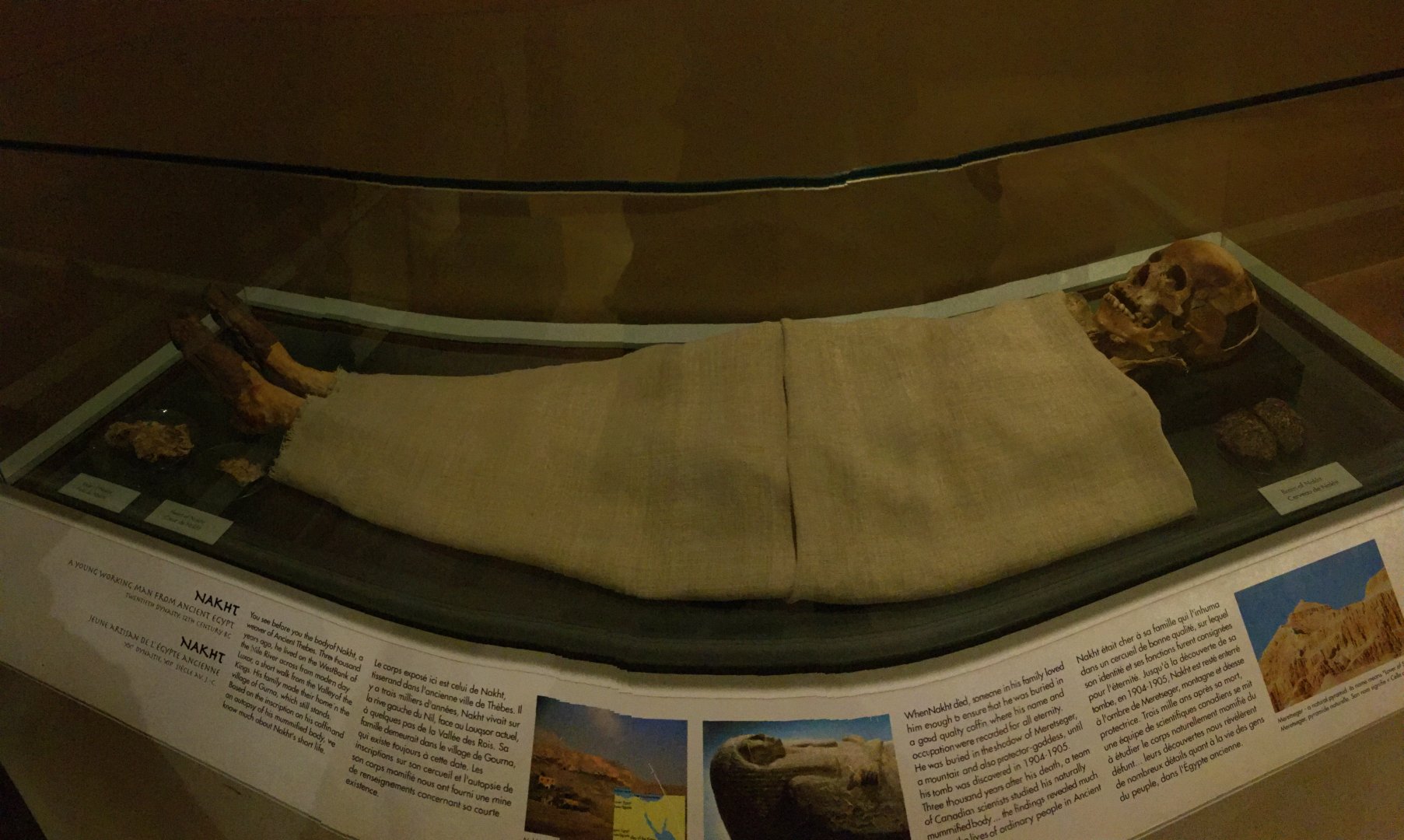 Egypt: Mummy of Nakht