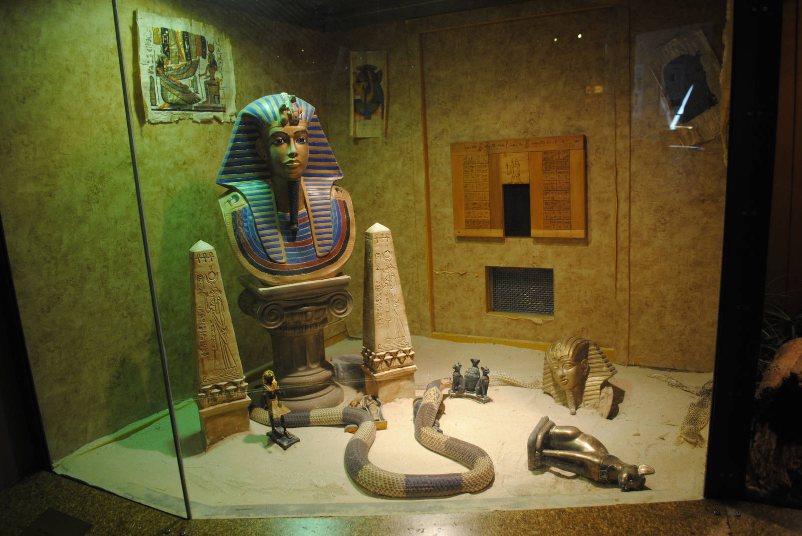 Egyptian Cobra exhibit