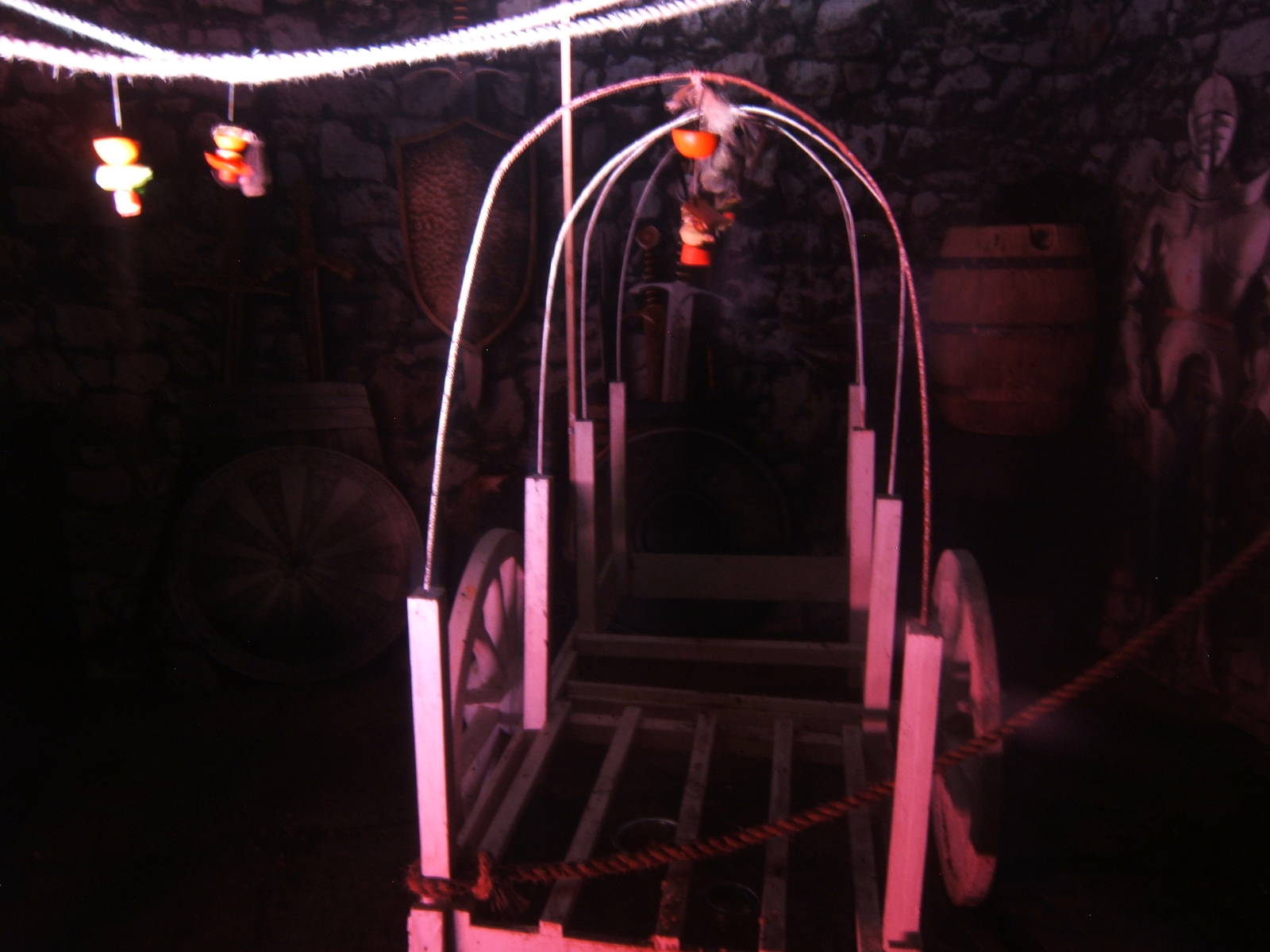 Egyptian Fruit and Seba`s Bat exhibit