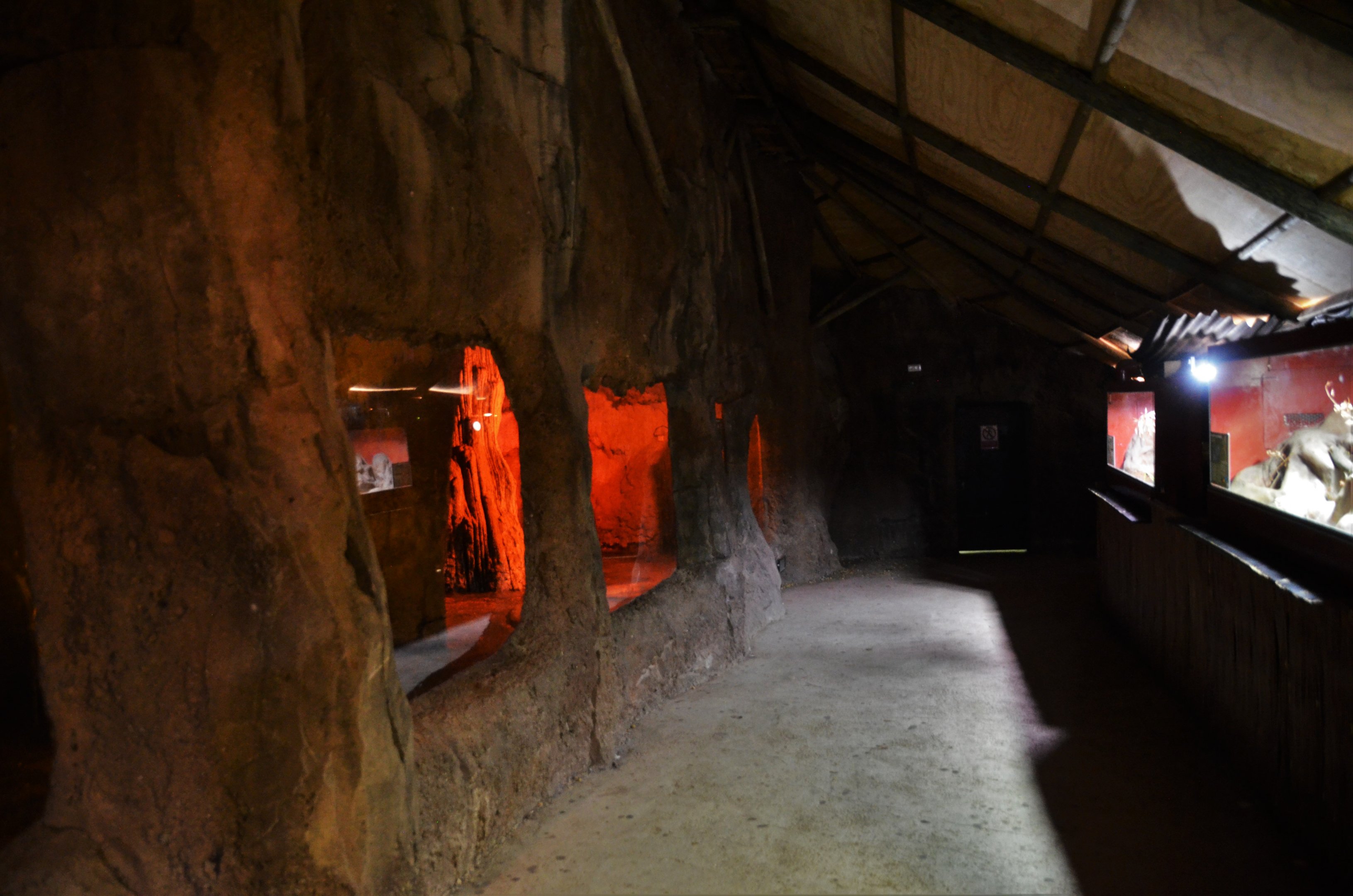 Egyptian Fruit Bat Enclosure and Small Reptile Vivaria at Selwo Aventura, 13/03/19