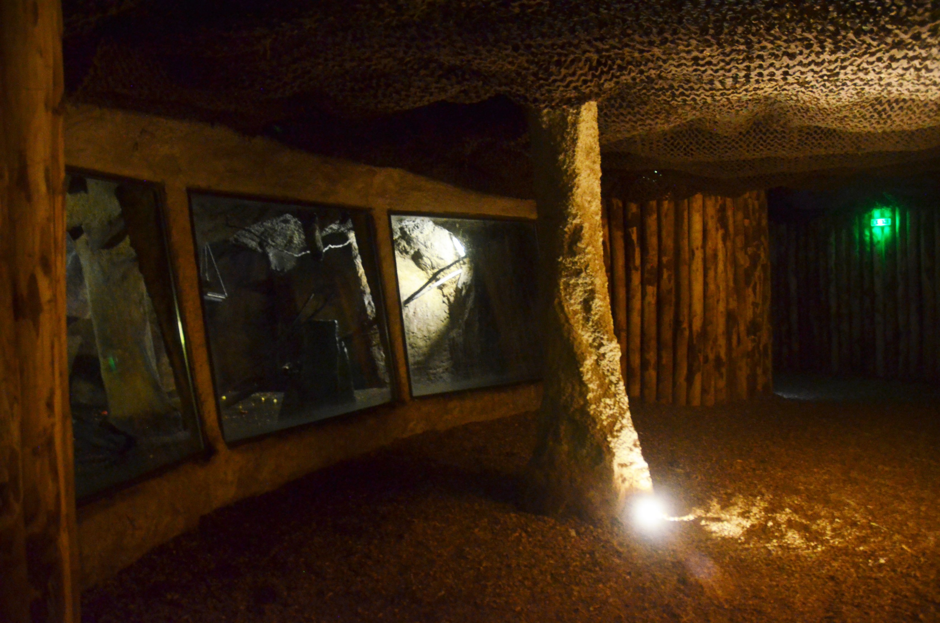 Egyptian Fruit Bat Enclosure at La Flèche, 11/06/18