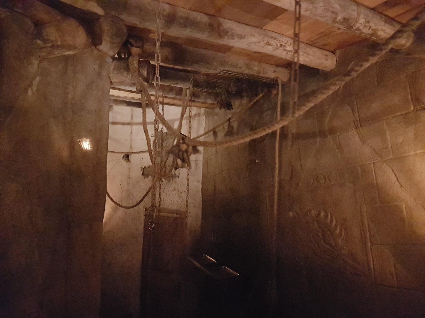 Egyptian fruit bat-enclosure