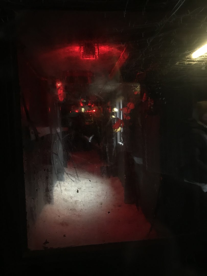 Egyptian fruit bat enclosure