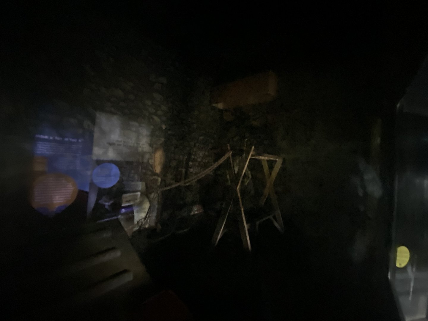 Egyptian fruit bat enclosure