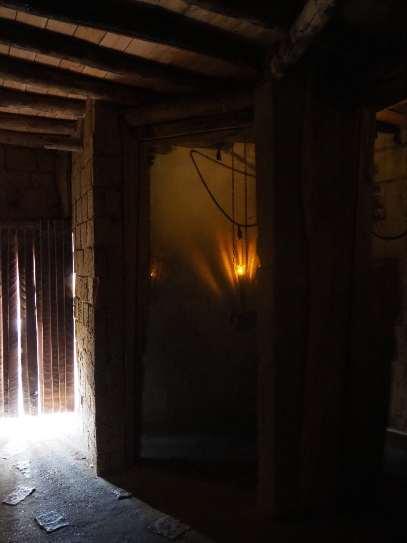 Egyptian fruit bat viewing area