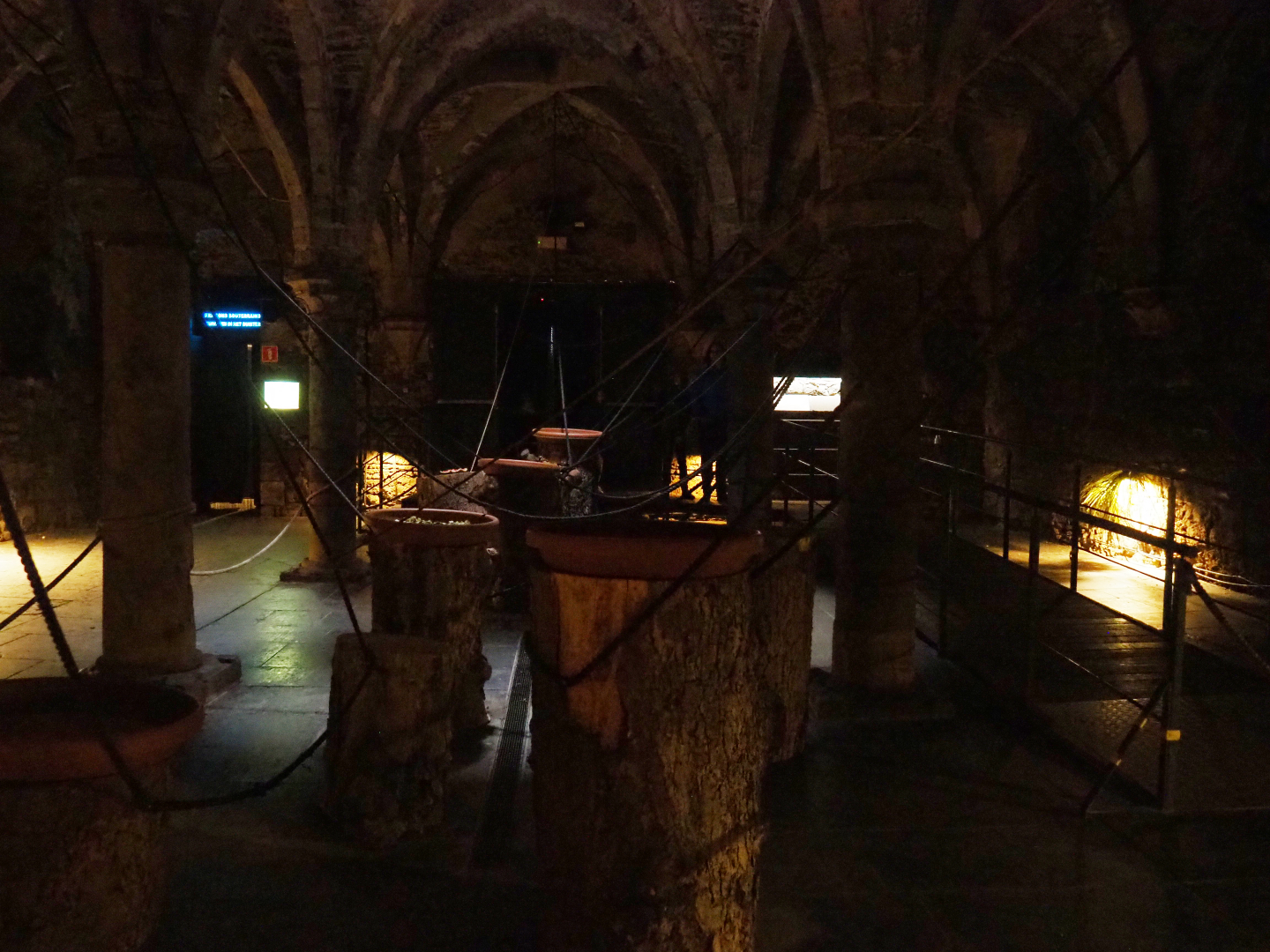 Egyptian fruit bat walk-through exhibit in the crypt, 2019-10-05