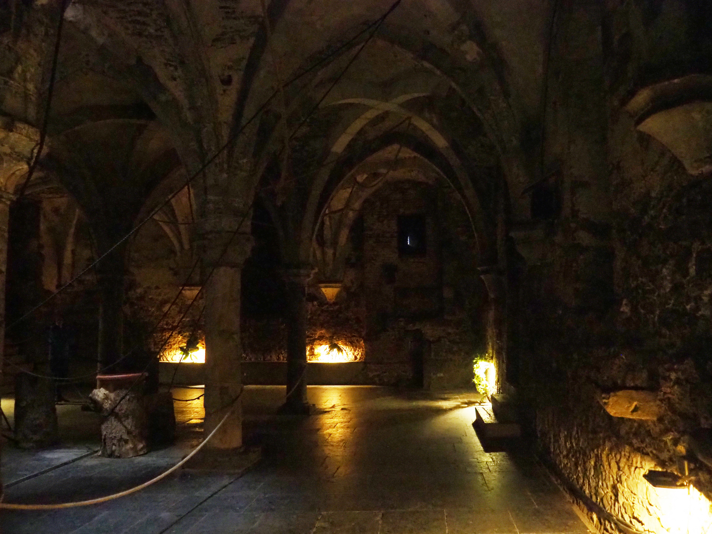 Egyptian fruit bat walk-through exhibit in the crypt, 2019-10-05