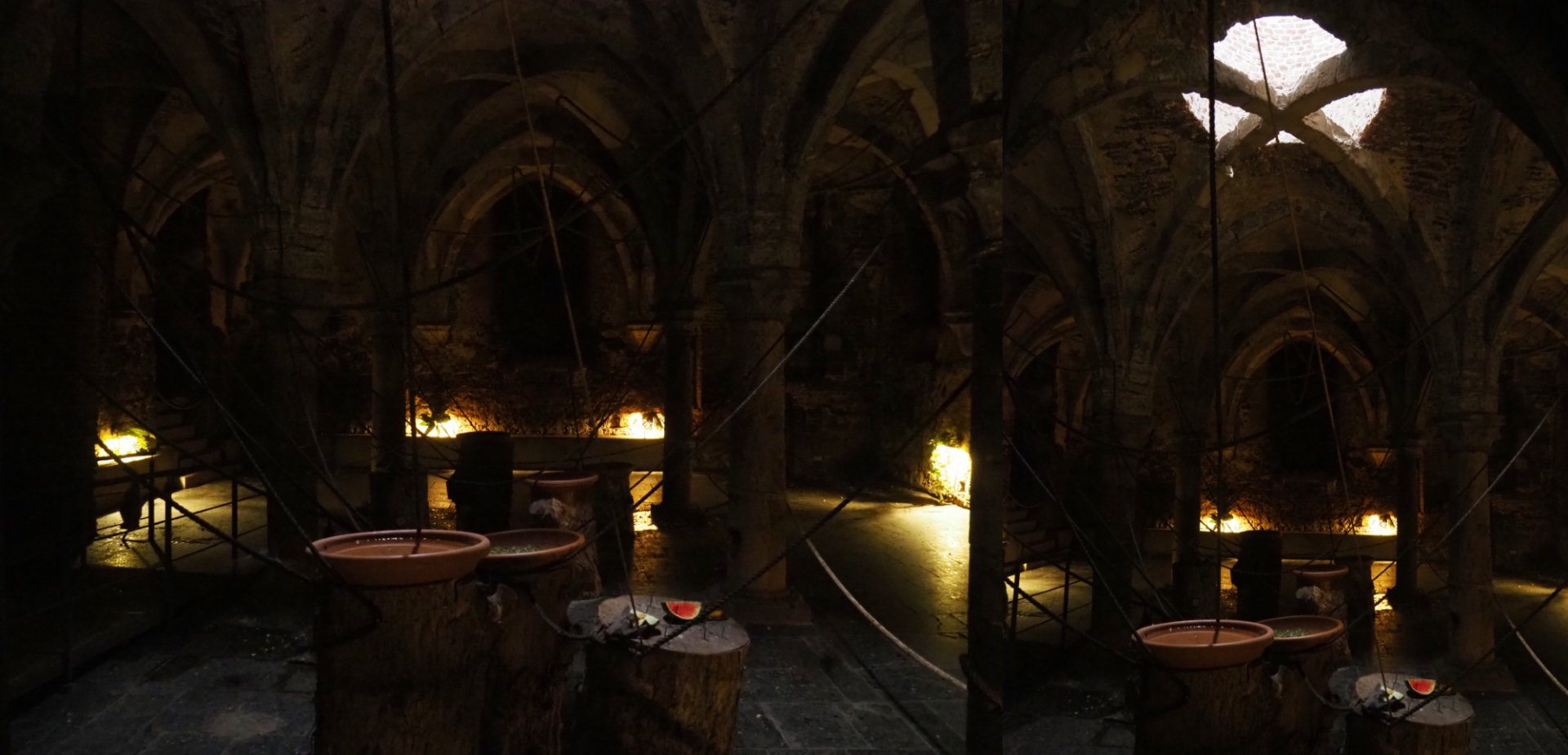 Egyptian fruit bat walk-through exhibit in the crypt underneath the abbey tower, 2020-09-03