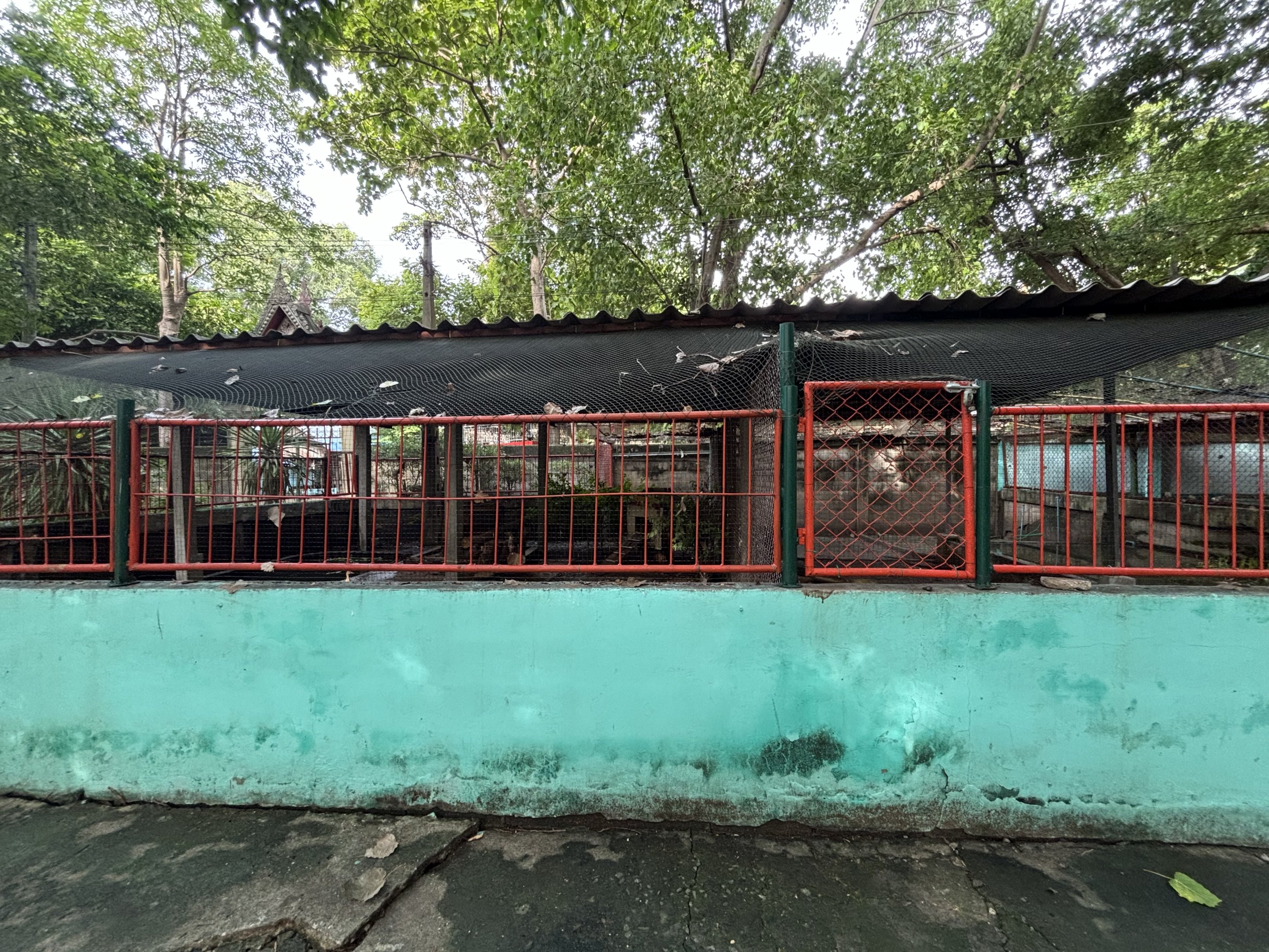 Egyptian Goose Exhibit - Lopburi Zoo