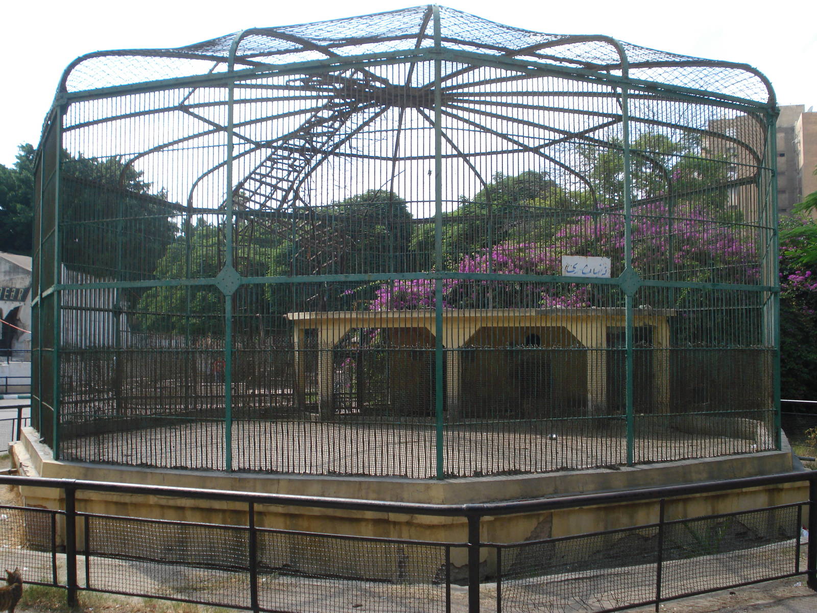 Egyptian jackal cage