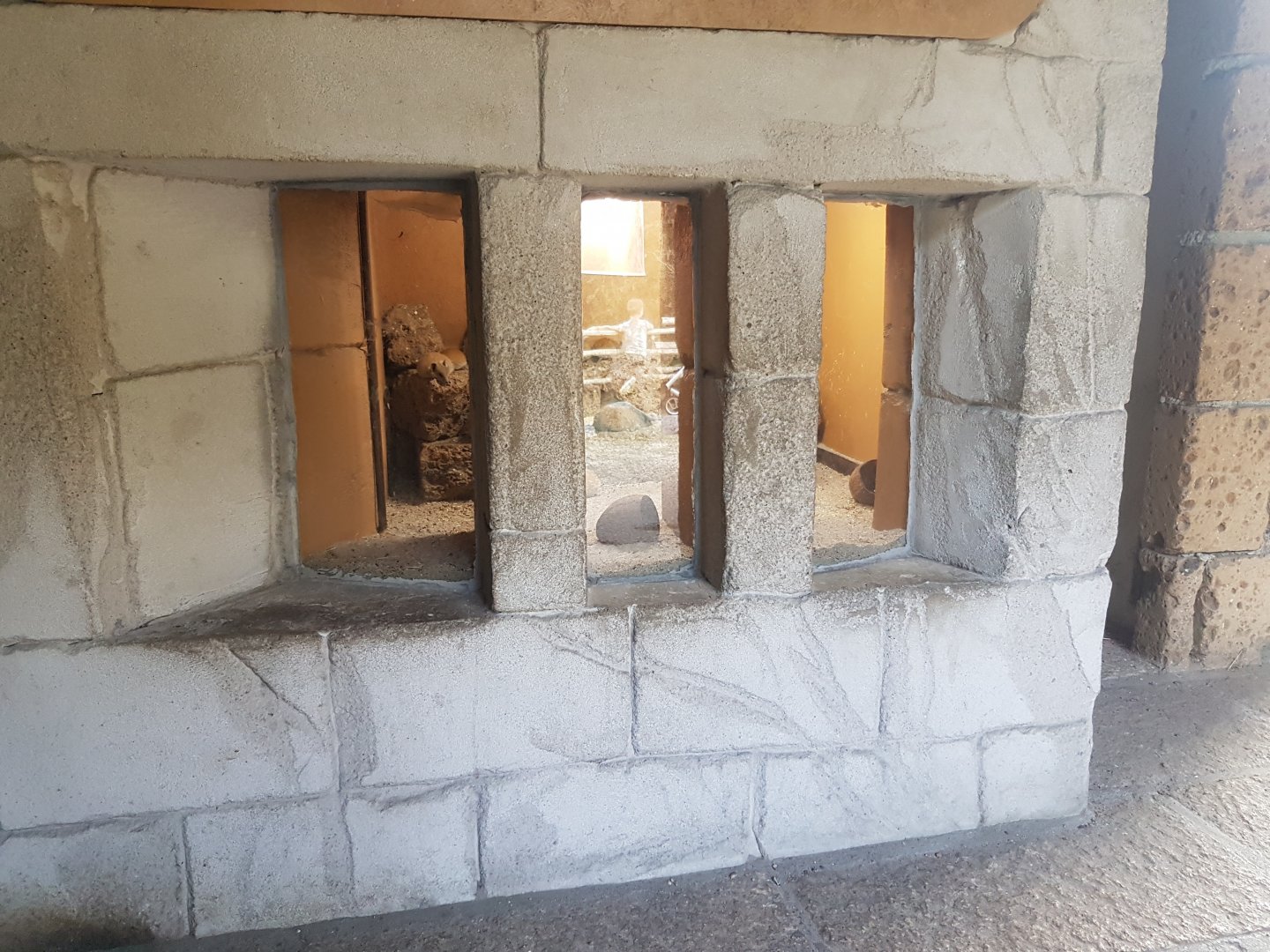 Egyptian spiny mouse enclosure