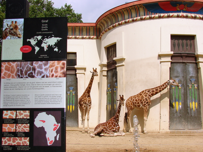 Egyptian-Temple, Giraffe exhibit