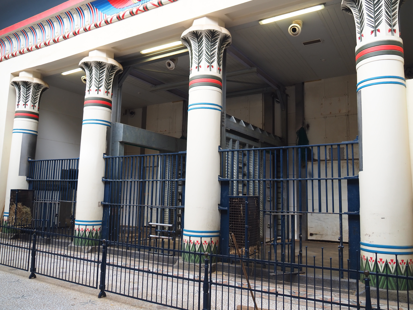 Egyptian Temple - Indoor housing Adolescent Asian elephant bulls, 2020-06-28