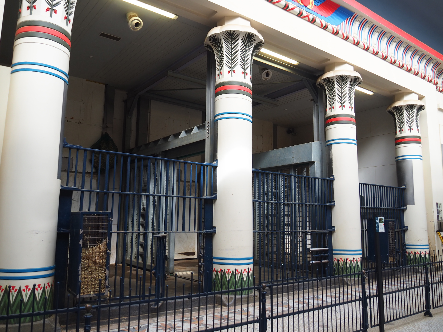 Egyptian Temple - Indoor housing Adolescent Asian elephant bulls, 2020-06-28