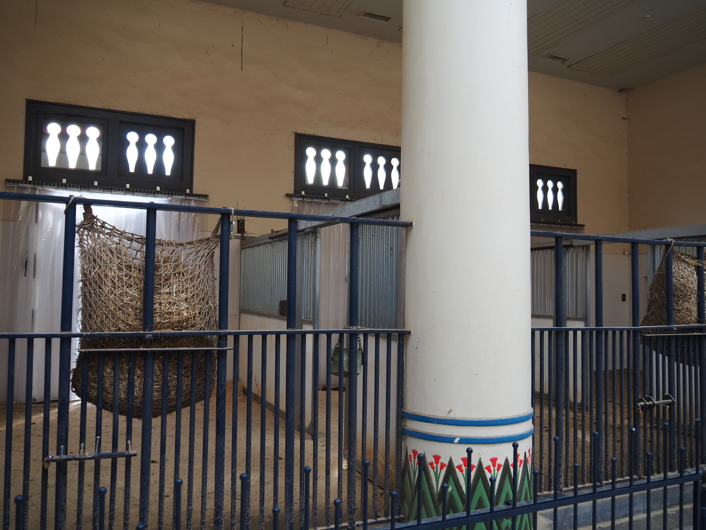 Egyptian Temple - Indoor housing Hartmann's mountain zebras, 2020-06-28