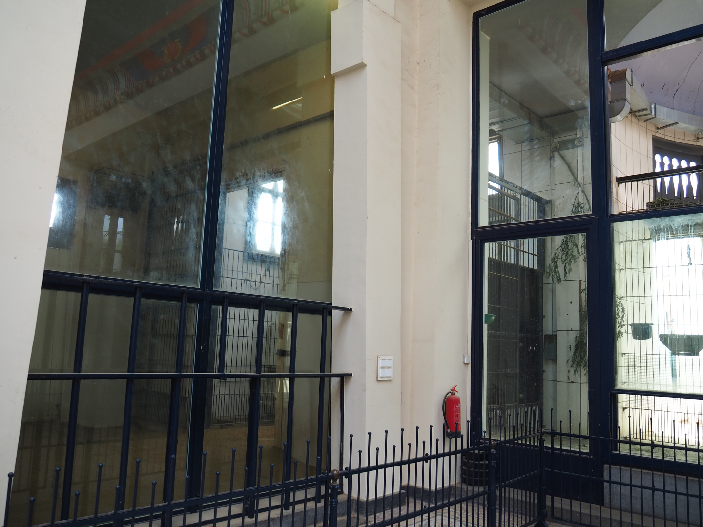 Egyptian Temple - Indoor housing Impure/Hybrid giraffes, 2020-06-28