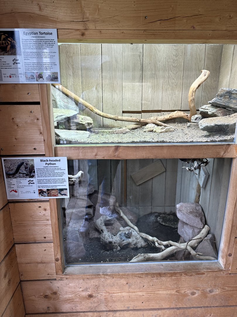 Egyptian Tortoise / Black-headed Python Enclosures at Hamerton Zoo Park (October 2023)