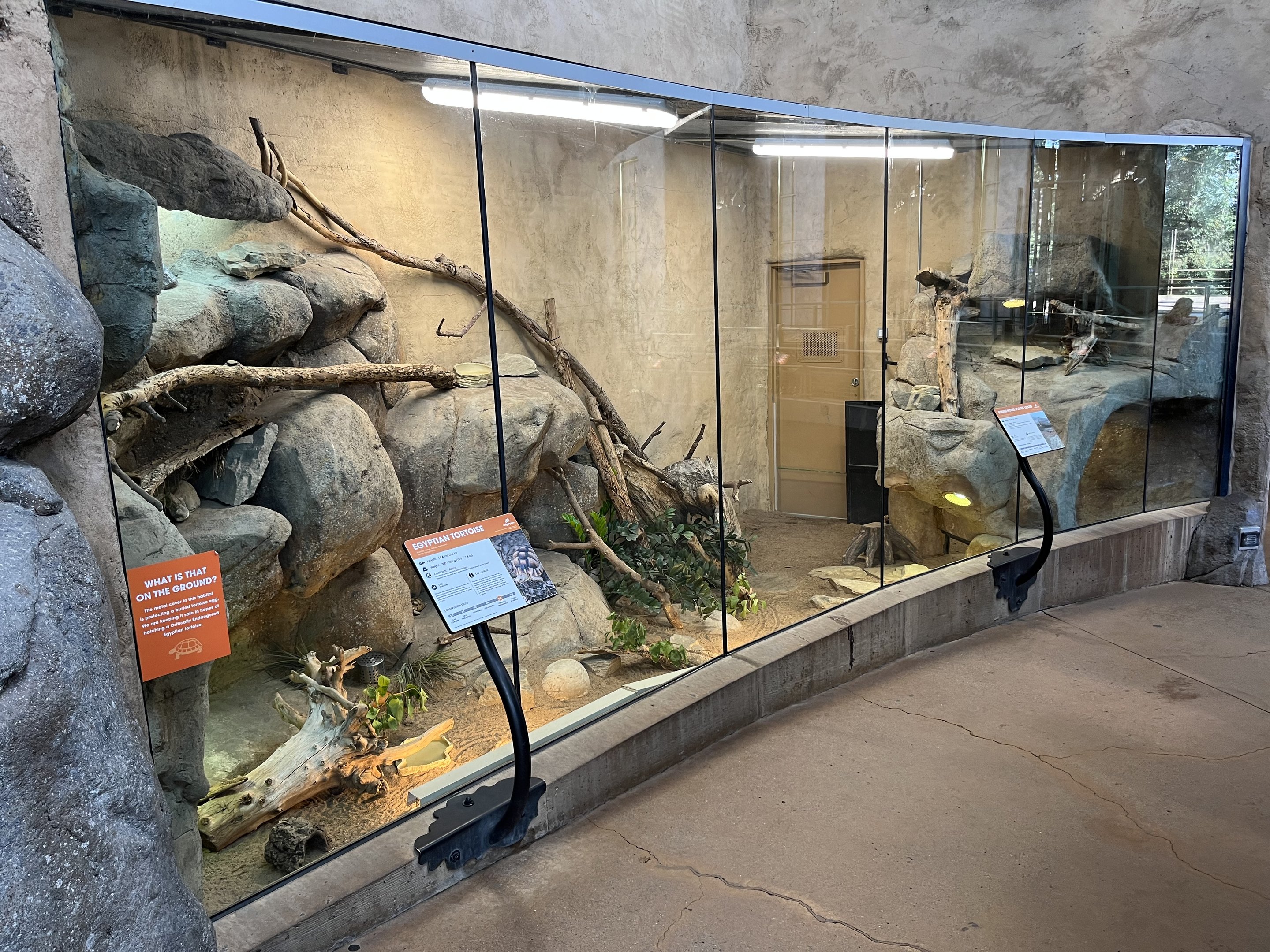Egyptian Tortoise/Plated Lizard Exhibit