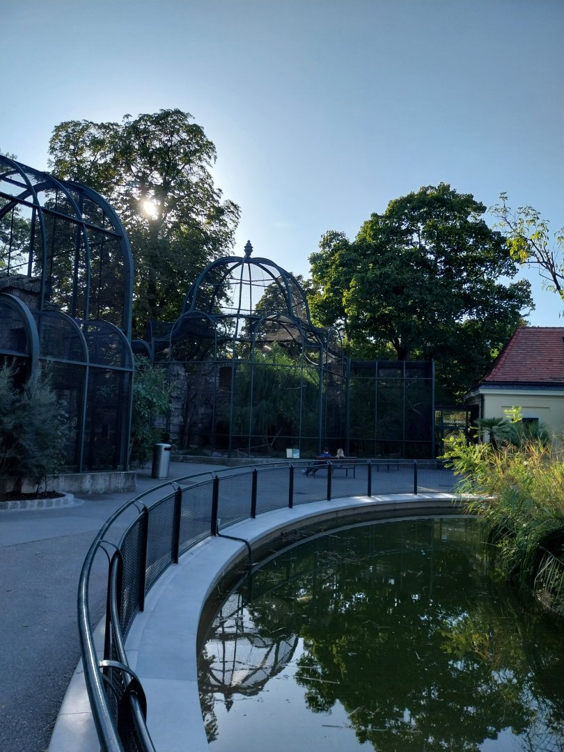 Egyptian vulture aviary