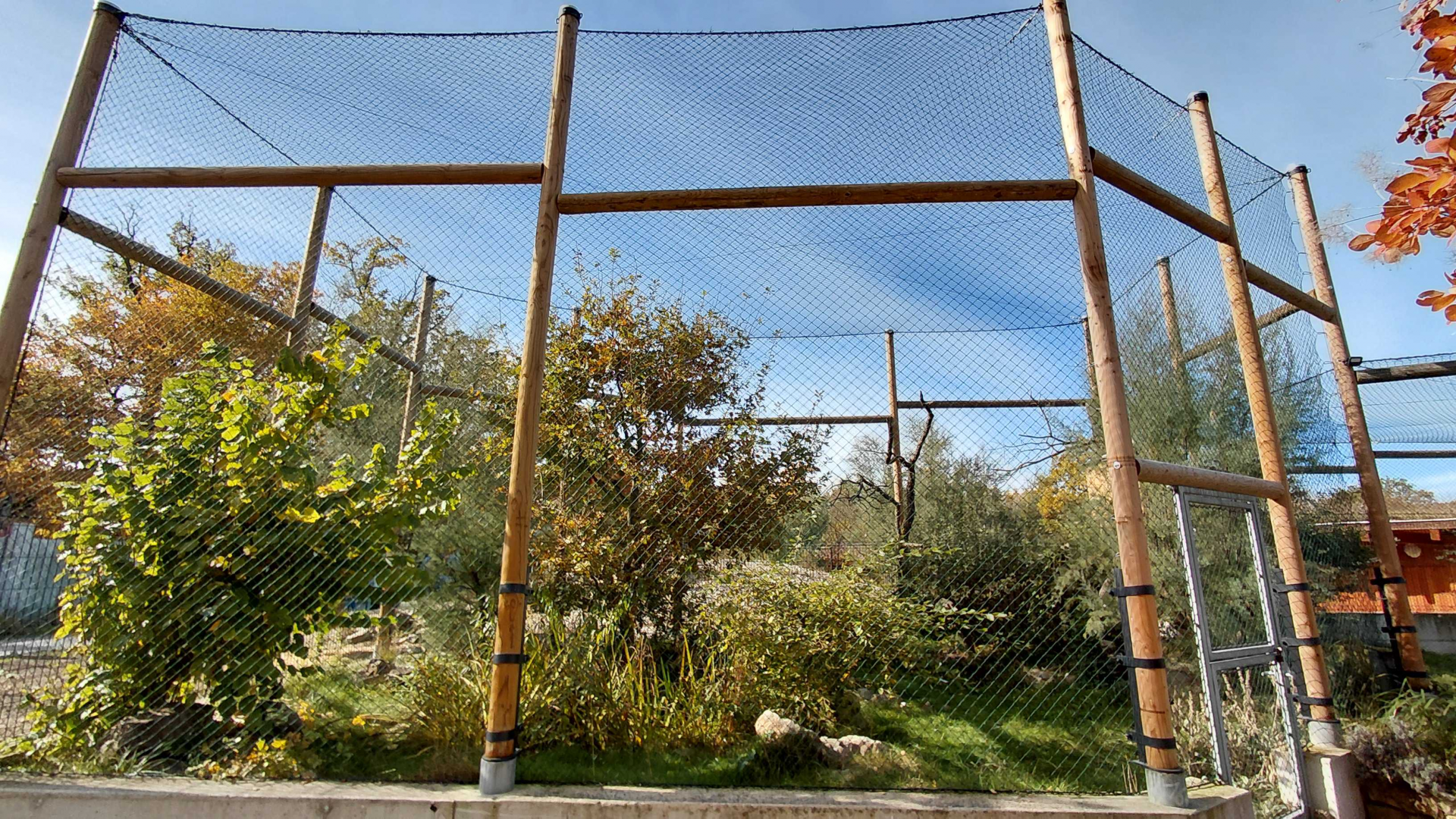 Egyptian vulture aviary