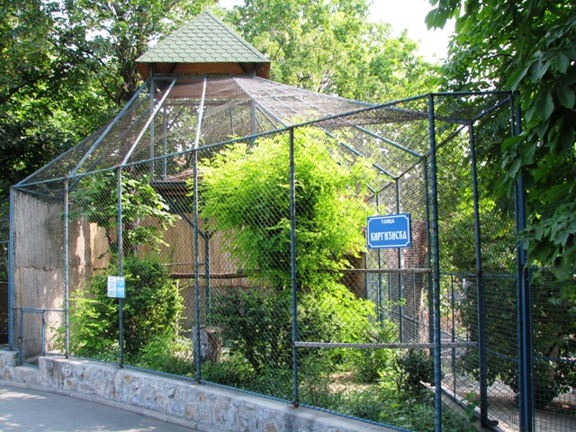 Egyptian_Vulture_enclosure