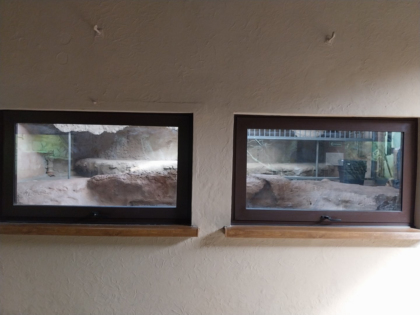 Egzotarium - American Alligator exhibit in renovation