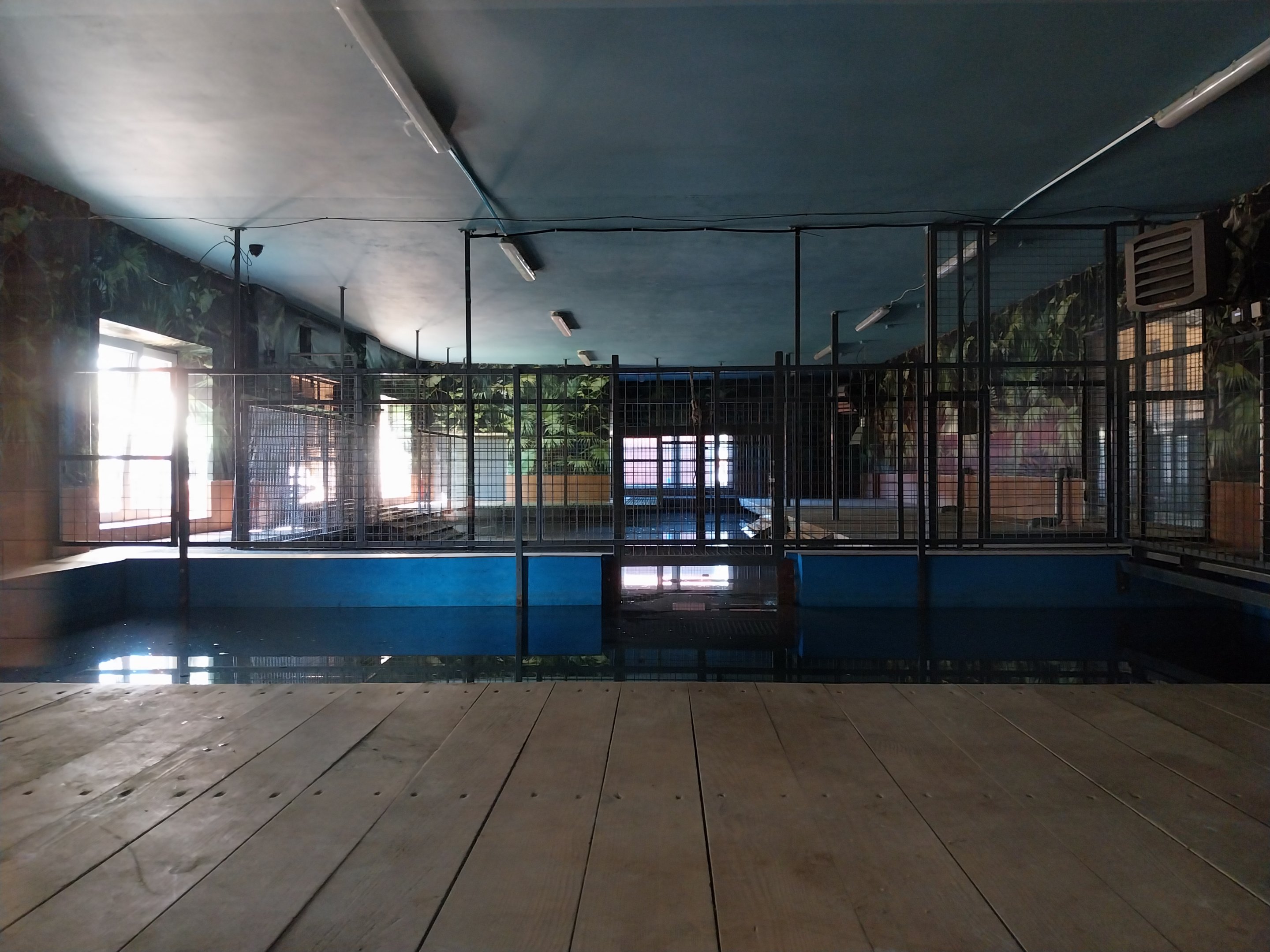 Egzotarium - Nile Crocodile (Crocodylus niloticus)