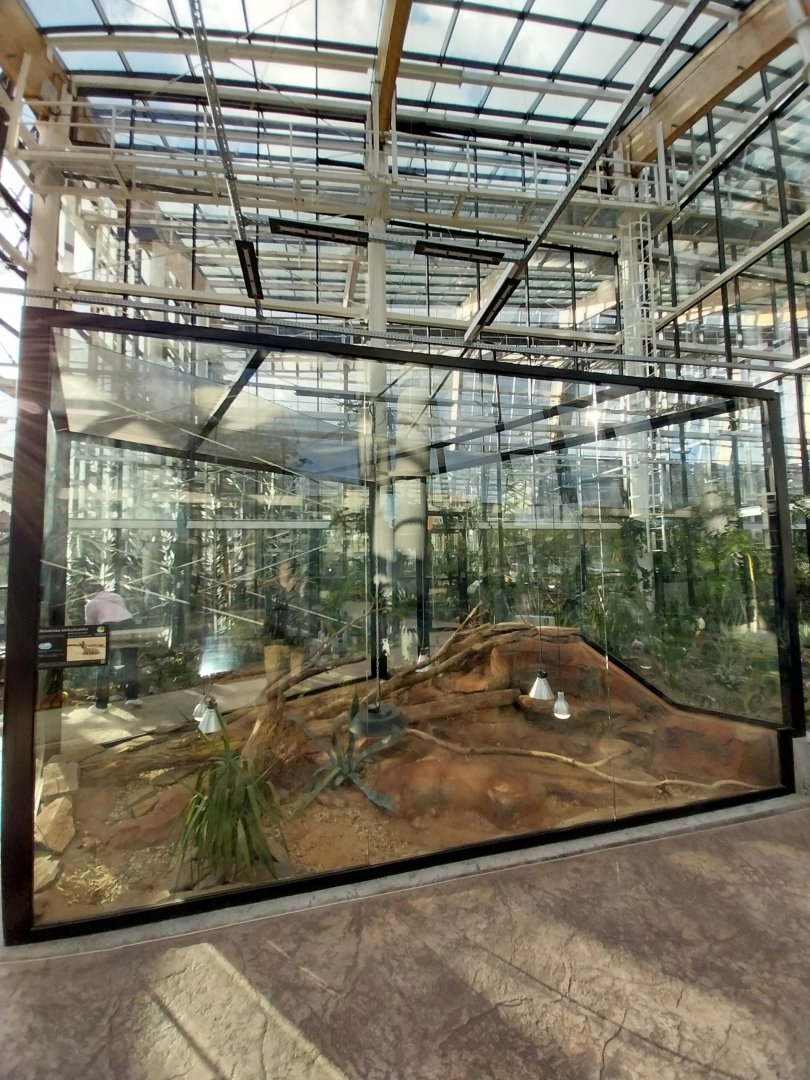 Egzotarium Sosnowiec - Desert Greenhouse - Mexican Beaded Lizard (Heloderma horridum) exhibit