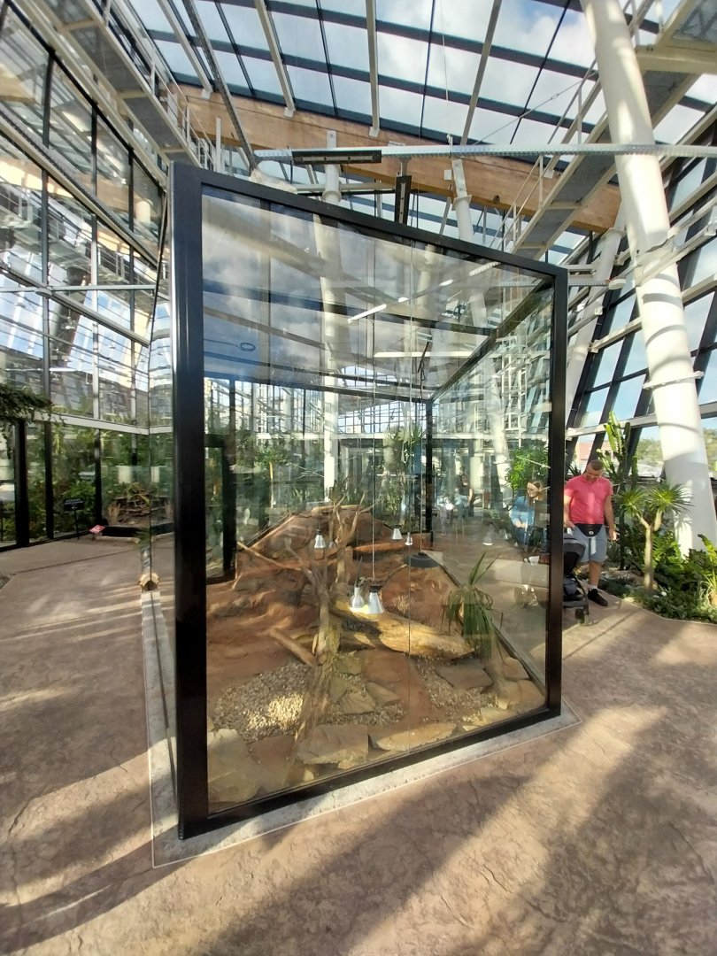 Egzotarium Sosnowiec - Desert Greenhouse - Mexican Beaded Lizard (Heloderma horridum) exhibit