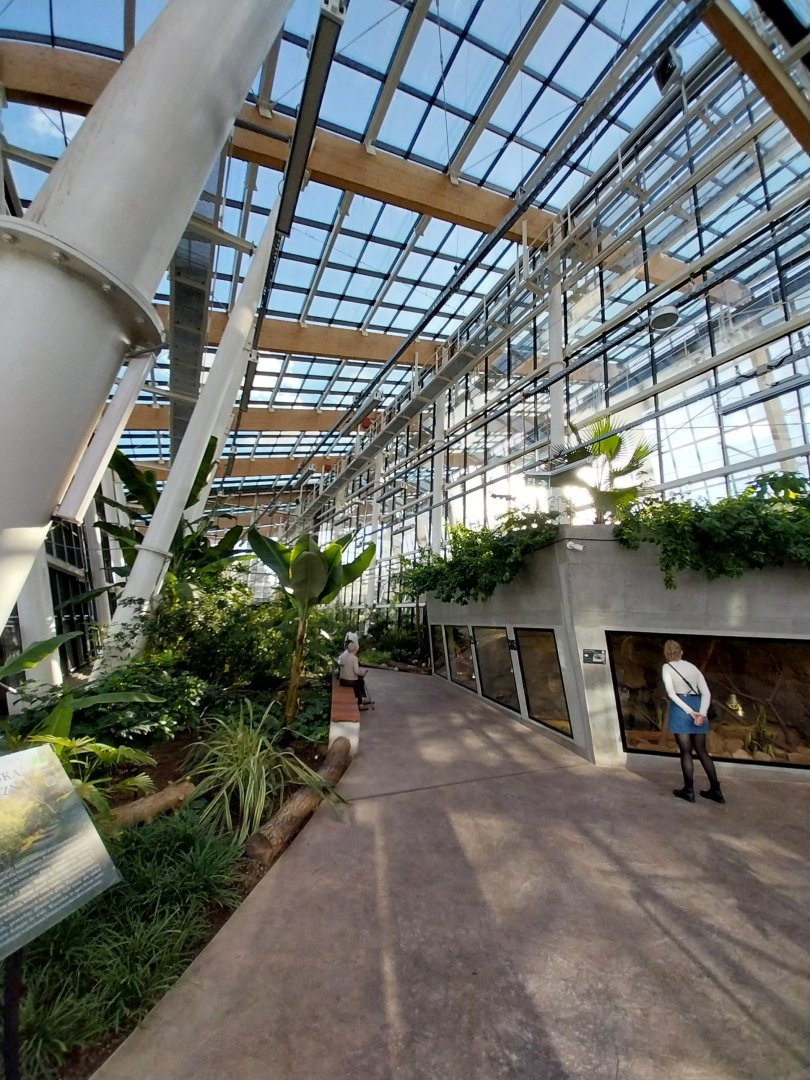 Egzotarium Sosnowiec - Desert Greenhouse