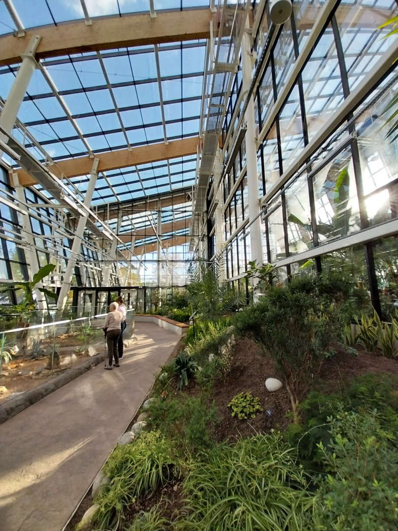 Egzotarium Sosnowiec - Desert Greenhouse